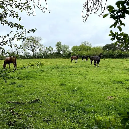 La Clef Des Champs